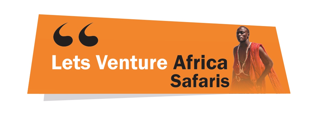 Travel Agent - Lets Venture Africa Safaris
